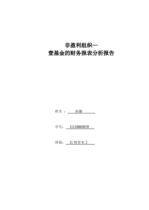 壹基金财务管理分析报告