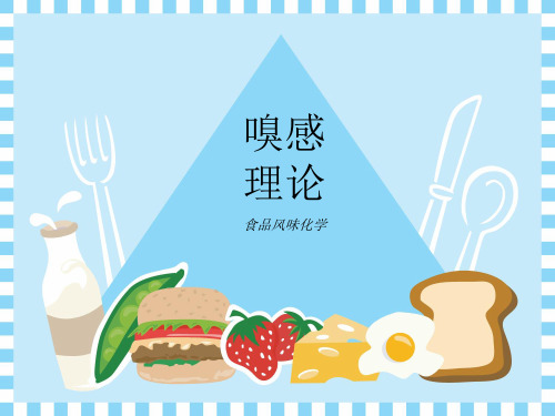 食品风味化学3.2 嗅感理论