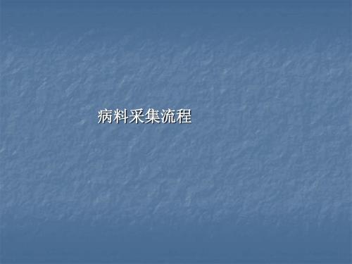 病料采集流程ppt课件