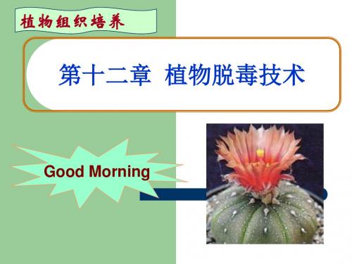 第三章_植物脱毒技术