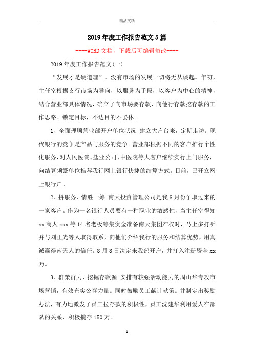 2019年度工作报告范文5篇