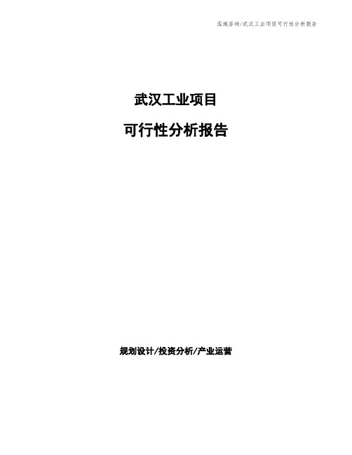 武汉工业项目可行性分析报告