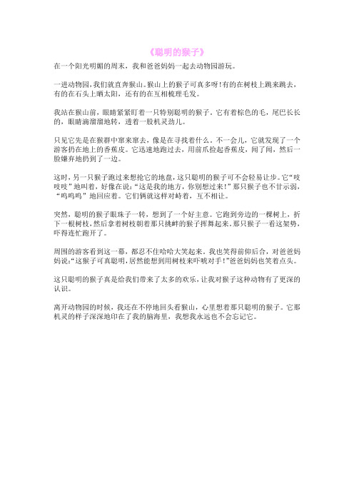 《聪明的猴子》