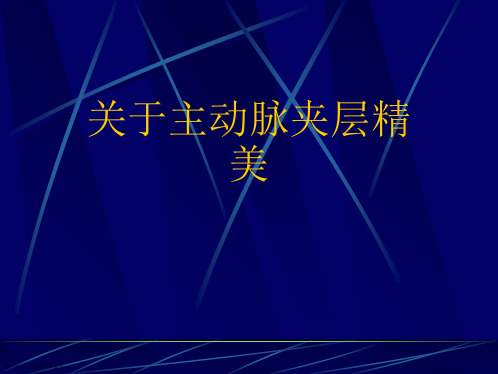 主动脉夹层精美课件