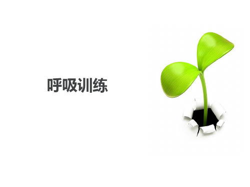 呼吸训练  ppt课件