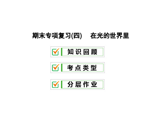 期末专项复习(四) 在光的世界里—2020秋教科版八年级物理上册课件(共52张PPT)