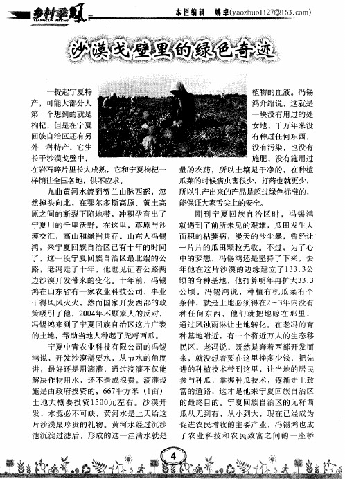 沙漠戈壁里的绿色奇迹