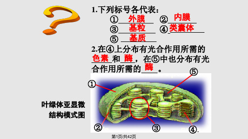 公开课光合作用的原理和应用新人教必修一PPT课件