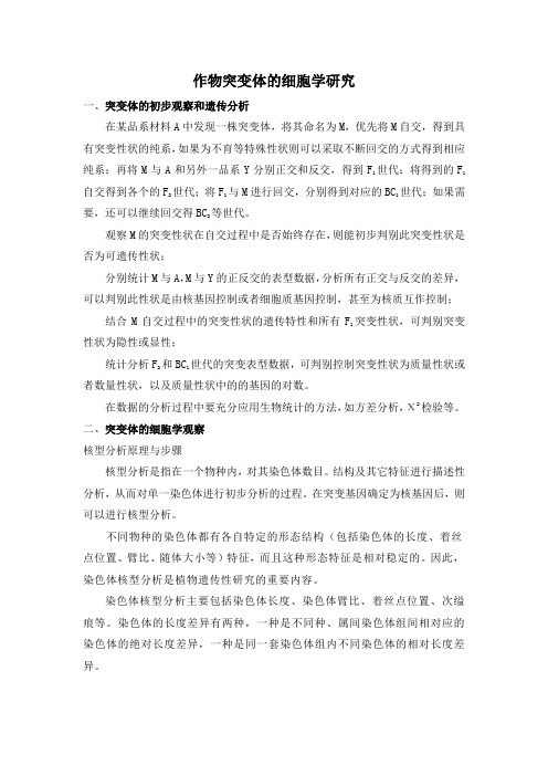 突变体鉴定