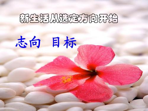 新高一主题班会：理想与励志 - 副本