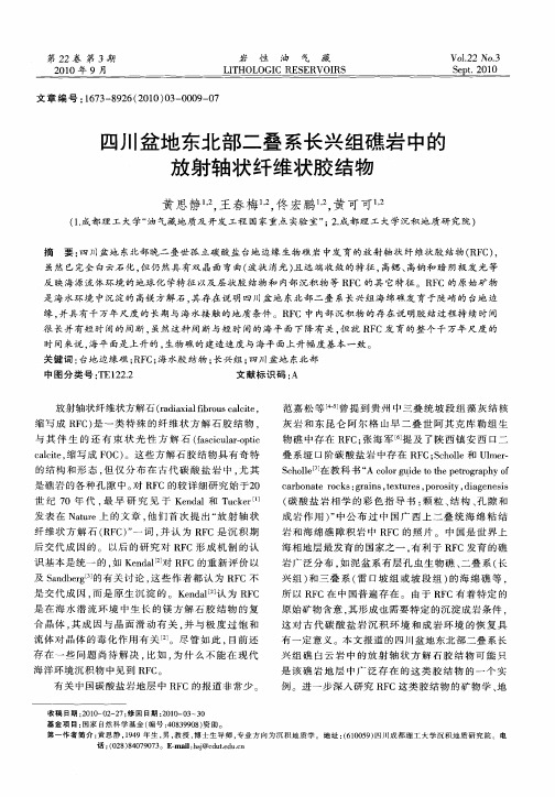 四川盆地东北部二叠系长兴组礁岩中的放射轴状纤维状胶结物