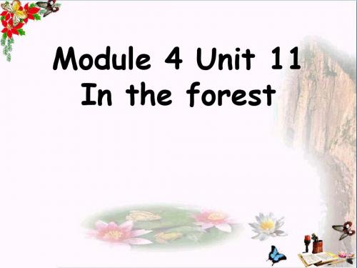 二年级英语上册Unit11Intheforest课件2牛津上海版