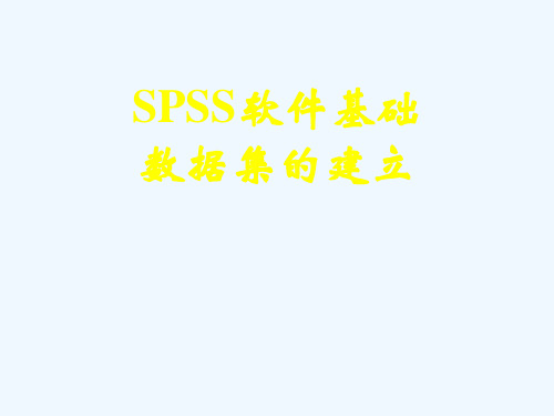 SPSS基础、数据集的建立(69页)