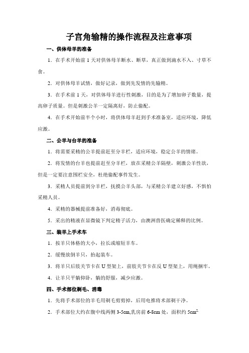 子宫角输精的操作流程及注意事项