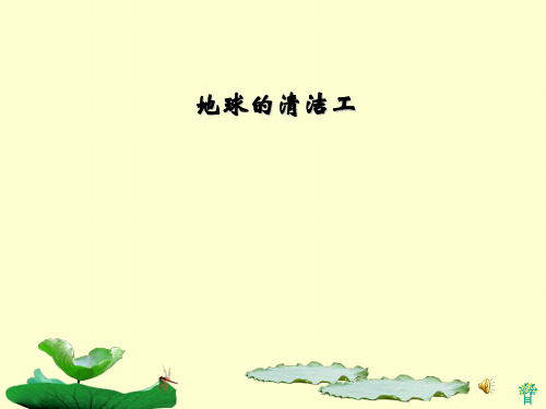 《地球的清洁工》PPT课件(上课用)2