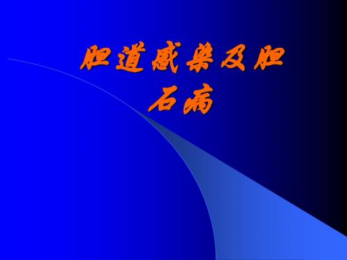 胆道感染结石PPT课件