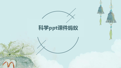 科学ppt课件蚂蚁