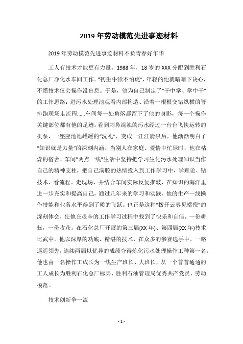 2019年劳动模范先进事迹材料