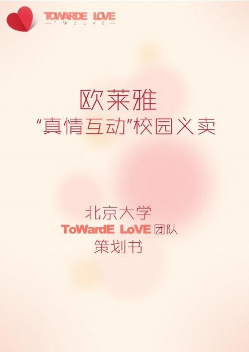 义卖项目策划书——北京大学
