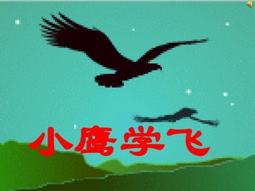 小鹰学飞第二课时ppt课件.ppt