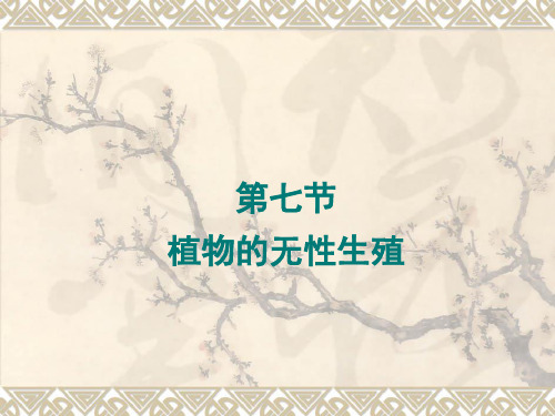 山东省潍坊高新技术产业开发区东明学校济南版八年级生物上册：第四单元第一章第七节植物的无性生殖课件共16