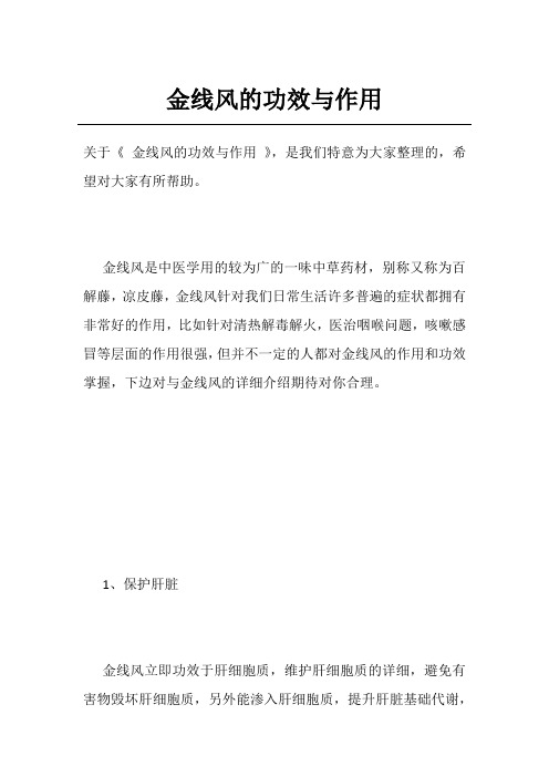 金线风的功效与作用