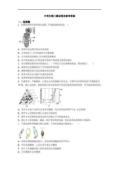 中考生物三模试卷含参考答案