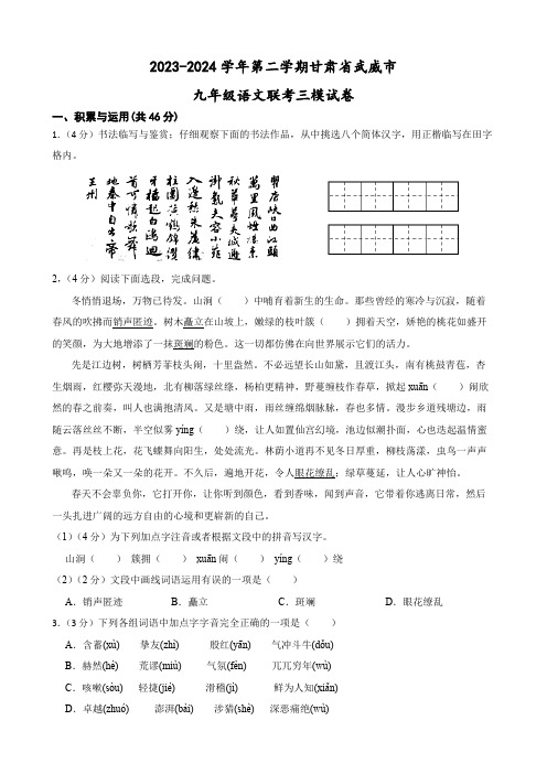 2024年甘肃省武威市中考三模语文试题(含答案)