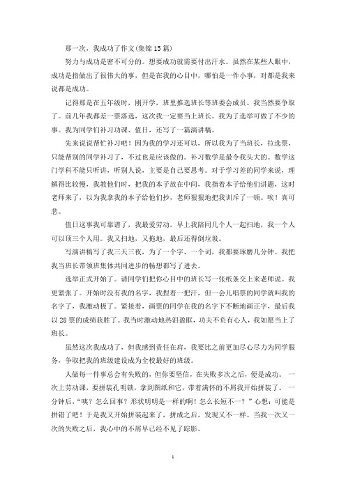 那一次,我成功了作文(集锦15篇)(精选)