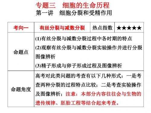 专题三：第一讲   细胞的有丝分裂和减数分裂图像辨析