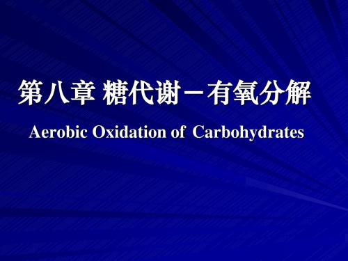 第八章糖代谢-有氧分解