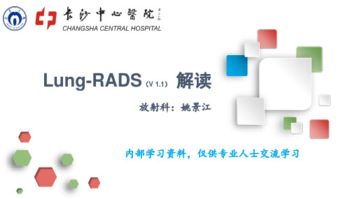 Lung-RADS解读