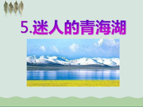 《迷人的青海湖》ppt2