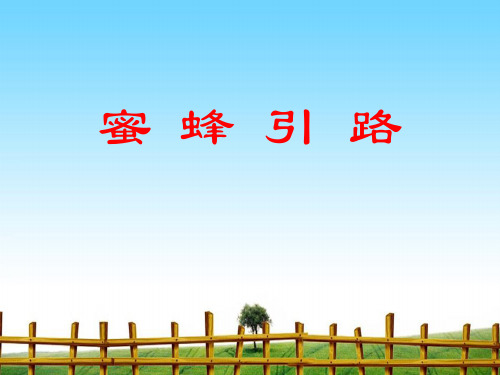 【最新】课件-蜜蜂引路PPT