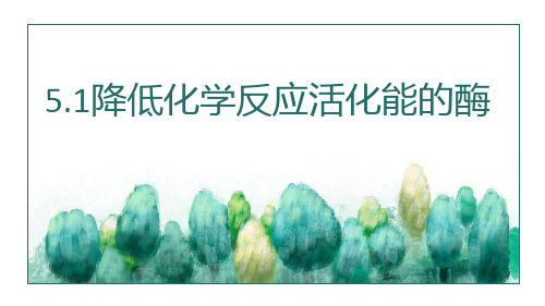 高中生物人教版必修1 5.1降低化学反应活化能的酶公开课