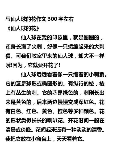 写仙人球的花作文300字左右