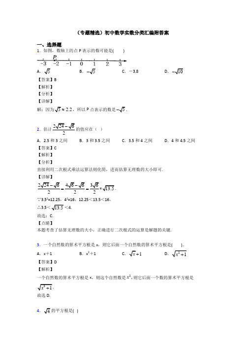 (专题精选)初中数学实数分类汇编附答案
