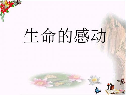 五年级语文上册第六单元生命的感动PPT课件4湘教版