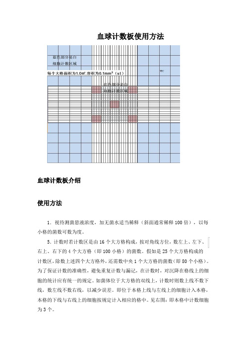 血球计数板使用方法