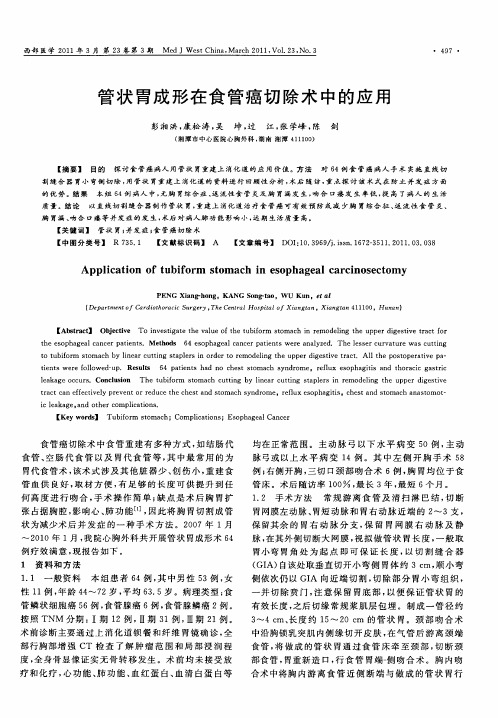 管状胃成形在食管癌切除术中的应用