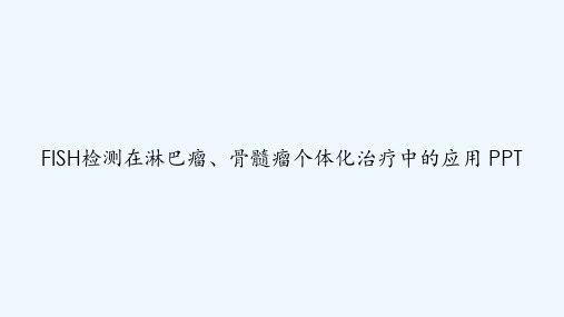 FISH检测在淋巴瘤、骨髓瘤个体化治疗中的应用 PPT