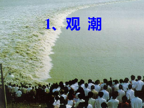 五年级上册语文课件-2-2 浙江潮【附《观潮》】 ▎北师大版 (共13张PPT)