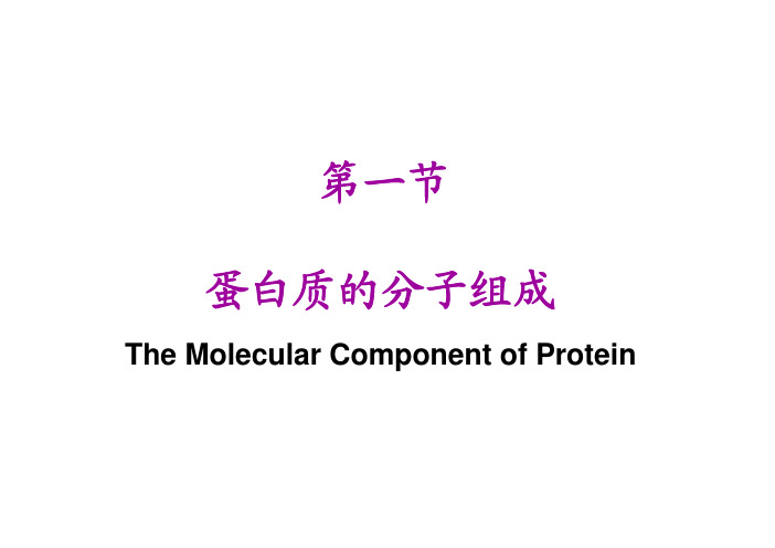 第一章 第一节蛋白质的结构