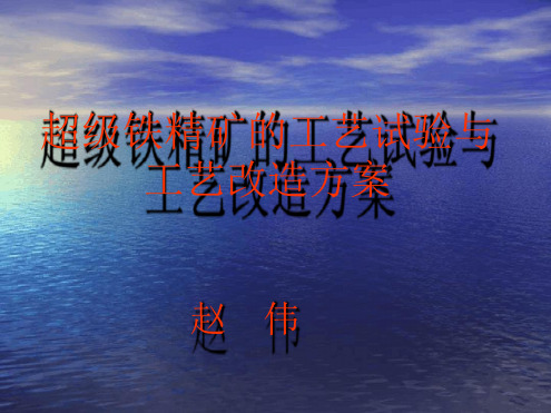 超级铁精矿研究