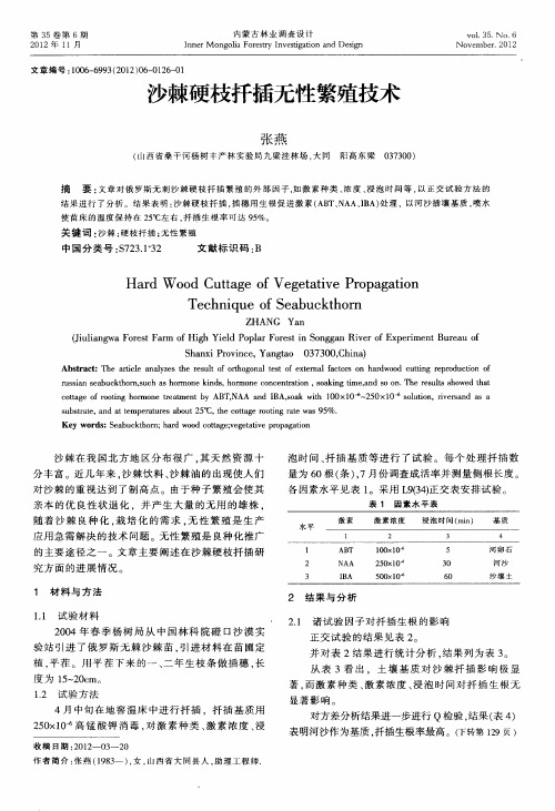 沙棘硬枝扦插无性繁殖技术