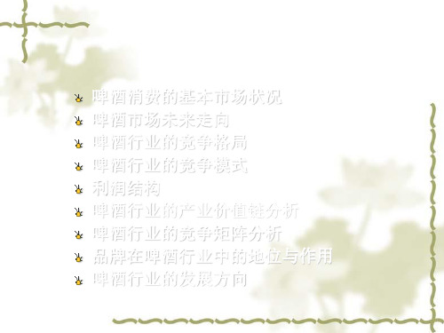 中国啤酒行业的市场分析报告