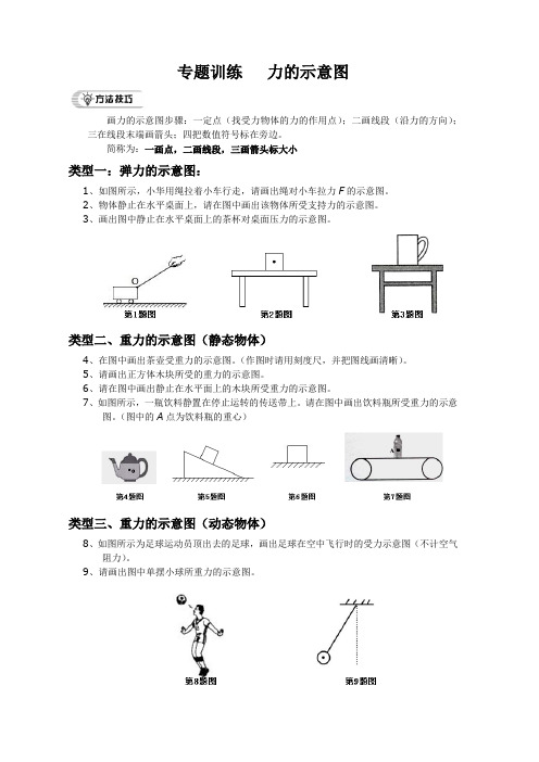 专题训练   力的示意图