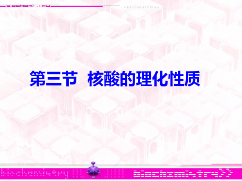 核酸2