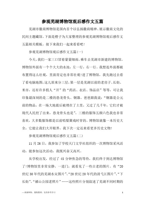 参观芜湖博物馆观后感作文五篇