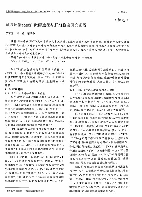 丝裂原活化蛋白激酶途径与肝细胞癌研究进展